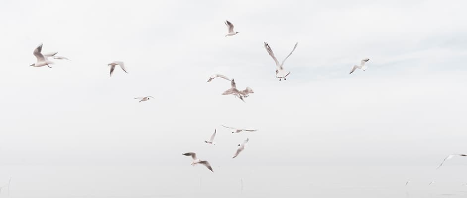 Praesentium voluptatum deleniti